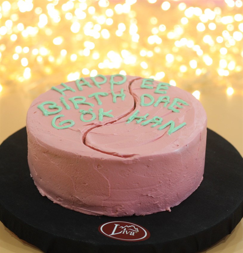 Liva Harry Potter Birthday Cake Özel Pasta